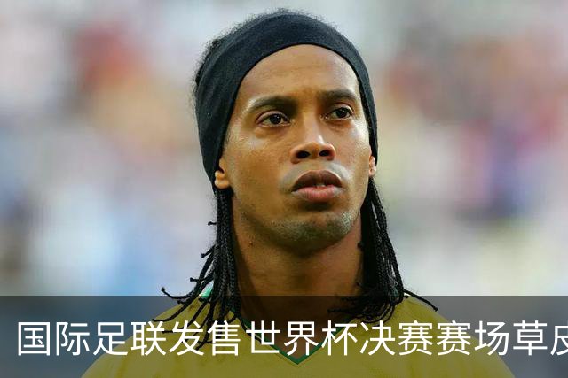 国际足联发售世界杯决赛赛场草皮 450美元一份